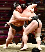 Asabenkei8.jpg (57 KB) Asabenkei wins the Sandanme Yusho (c. 2019)