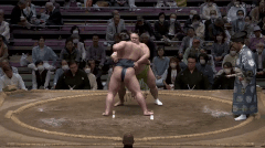 Fujiseiun's Fighting Style 2