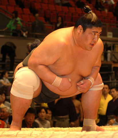 Asahiryu Katsuhiro, Sumowrestling Wiki