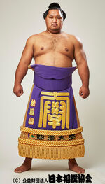 Shohozan 8