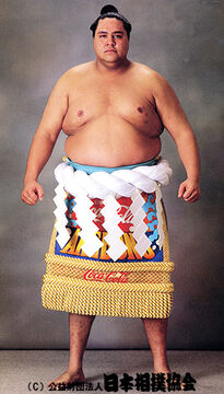 Sumo wrestling
