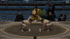 Fujitoshi's Fighting Style 2