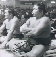 Tamanoumi awaits his upcoming match