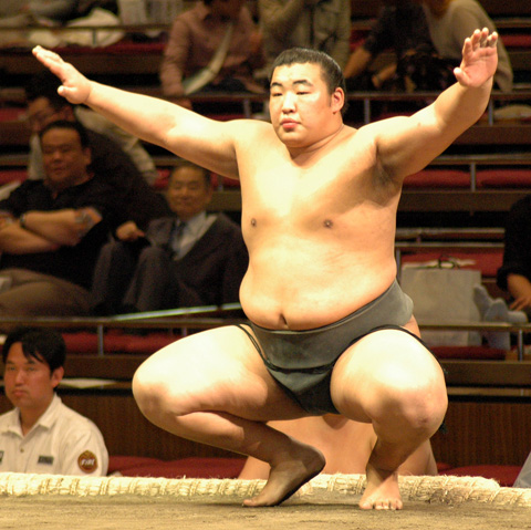 Daishochi Kenta | Sumowrestling Wiki | Fandom