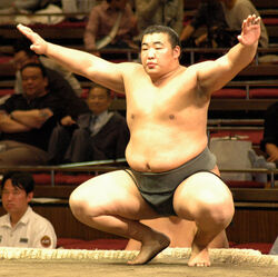 Daishochi Kenta | Sumowrestling Wiki | Fandom