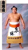 Senshuyama Yoshihiro - 2001 (Retrieved from the Nihon Sumo Kyokai)