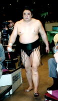 Kitakachidoki during his later career (c. 2000)