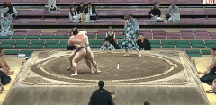 Arise's Fighting Style
