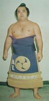 Ryuo poses with his kesho-mawashi (c. 1976)