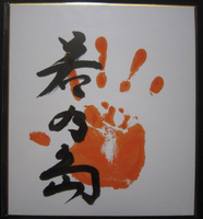 Wakanoshima's tegata
