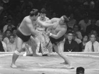 Wakanokuni's Fighting Style
