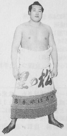 Matsunosato-main