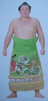 Owakamatsu with his kesho-mawashi