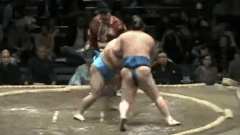 Tsurugidake's Fighting Style