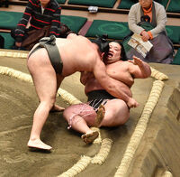 Oshoryu suffers his first loss ever in professional sumo (c. 2020)