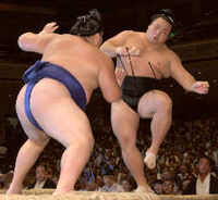 Hokutoriki defeats Ozeki Chiyotaikai (c. 2003)