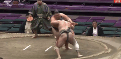 Shotaimu's Fighting Style