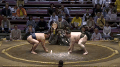 Hakuyozan's Fighting Style 2