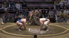 Oshoumi's Fighting Style 2
