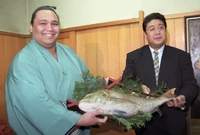 YamatoJP.png (2.23 MB) Yamato after promotion to Makuuchi (c. 1997)