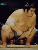 Tatsuhikari (c. 1993)
