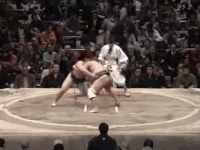 Aotsurugi's Fighting Style
