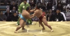 Higonojo Fighting Style