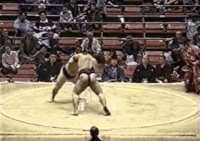 Wakaazuma's Fighting Style