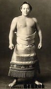 Itsutsushima Narao - (Retrieved from the Nihon Sumo Kyokai)
