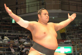 Takanofuji3-main