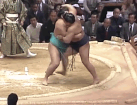 Yoshinobori's Fighting Style