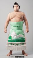 Takayasu Akira - 2016 (Retrieved from the JSA)
