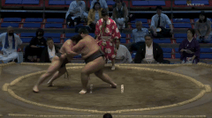 Tokitenran's Fighting Style