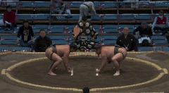 Tosamidori's Fighting Style 2