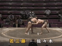 Wakamifuji's Fighting Style