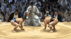Chiyootori's Fighting Style 3