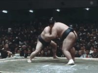 Amanoyama's Fighting Style