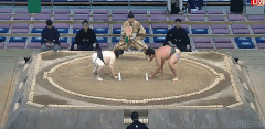 Kokiryu's Fighting Style