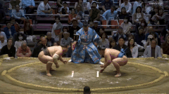 Wakatakakage's Fighting Style 2