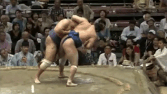 Chiyonokuni Fighting Style