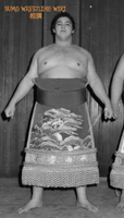 Hakusan during his time in maezumo (c. 1977)