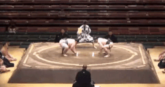 Wakayama's Fighting Style