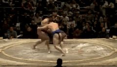 Hoshikaze's Fighting Style