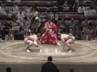 Katayama's Fighting Style