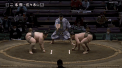 Nihonyanagi's Fighting Style