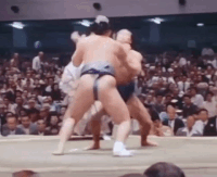 Tenryu's Fighting Style