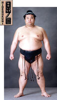 Hidenokuni Taishiro - 2003 (Retrieved from the JSA)