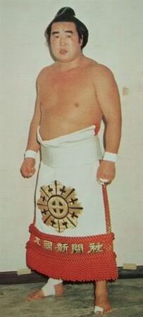 【PSA9】ワンオーナー　憤怒の猛将ダイダロス　初期 Daigo Kenshi | Sumowrestling Wiki | Fandom