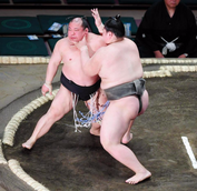 Sagatsukasa12