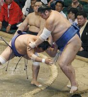 Shironoryu pushes out and defeats Tochinonada (c. 2011)